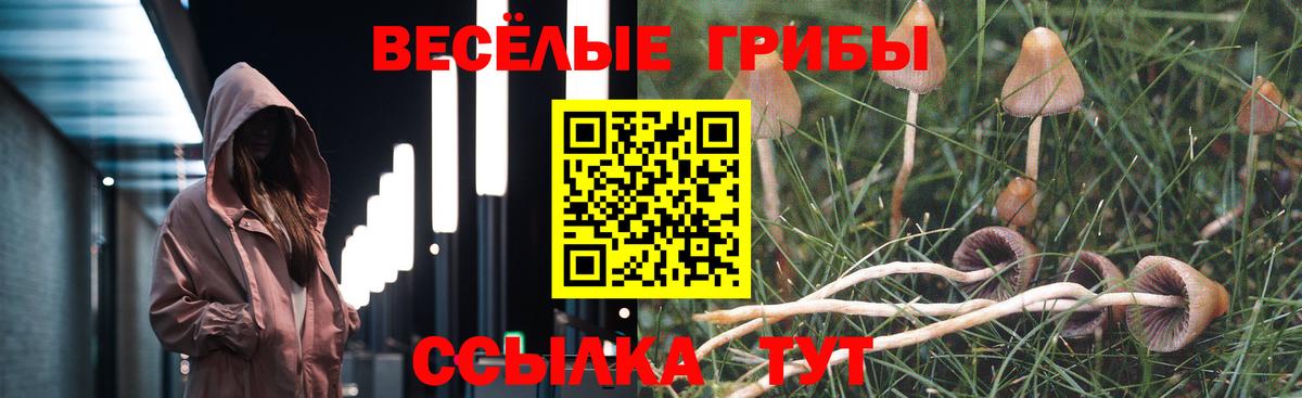 Псилоцибиновые грибы мицелий  Вход с VPN  Татарск 